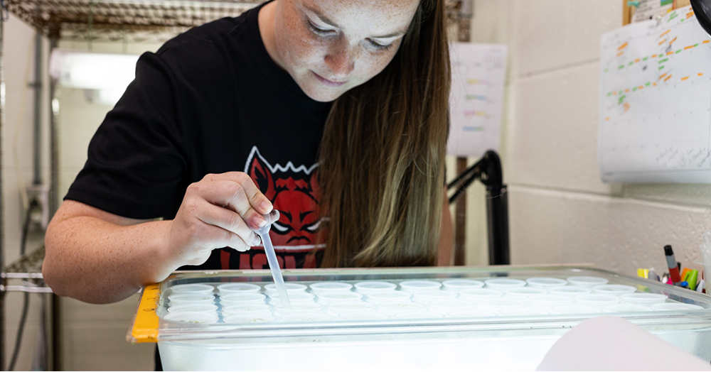 A-State Once Again Awarded Carnegie Classification of 'R2'