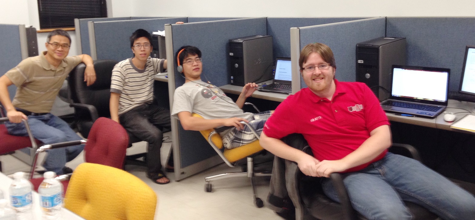 IEEE programming team