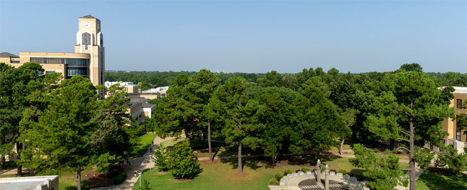 Inner campus with library