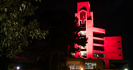 2017 Tower Lit at Night