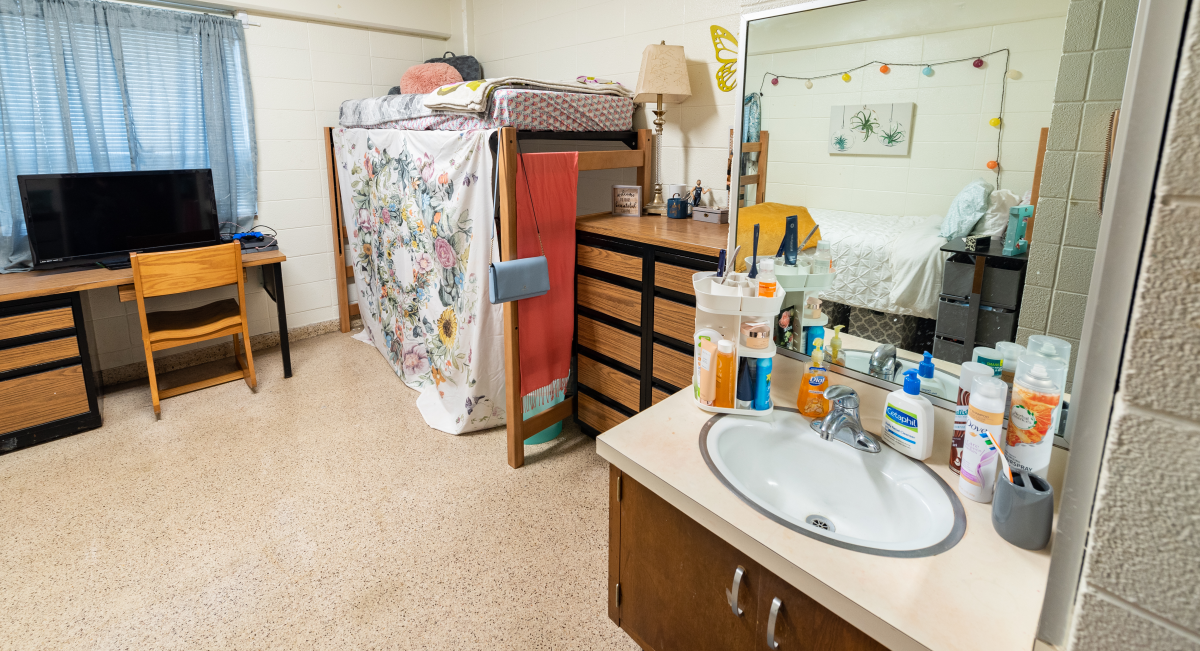 Bedroom Including Sink