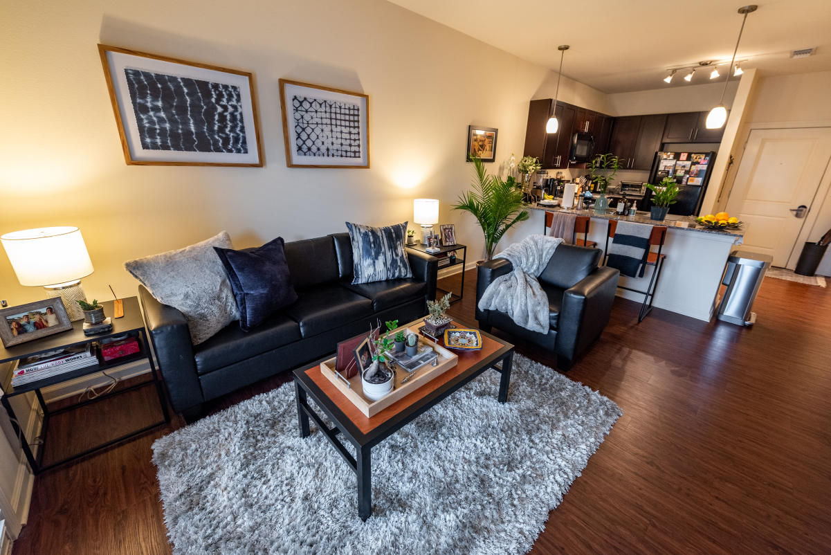 Common Area and Kitchen