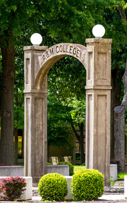 Music Students Excel in State-level Competition